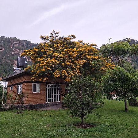 Posada Meztitla Tepoztlan Ngoại thất bức ảnh