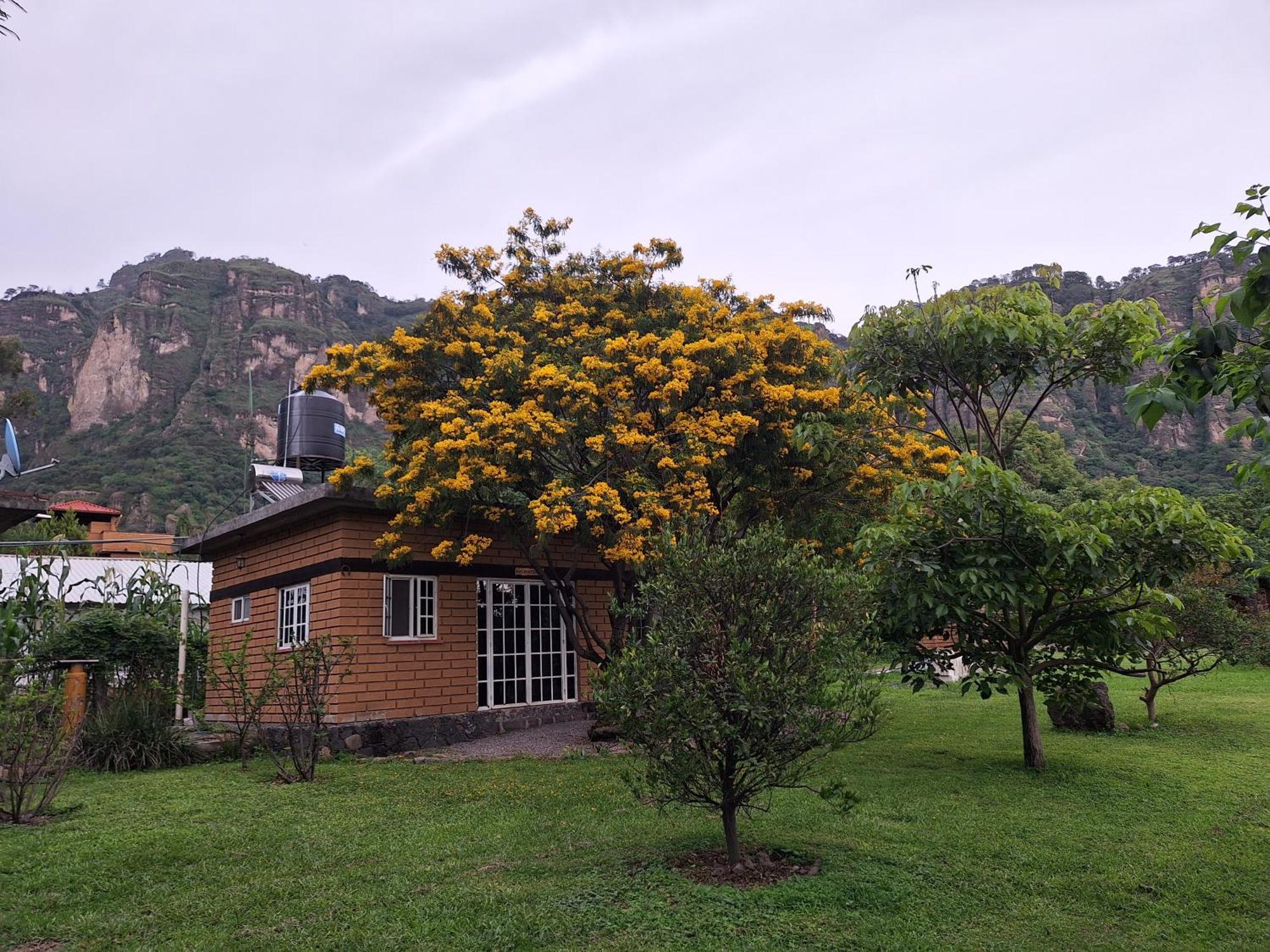 Posada Meztitla Tepoztlan Ngoại thất bức ảnh