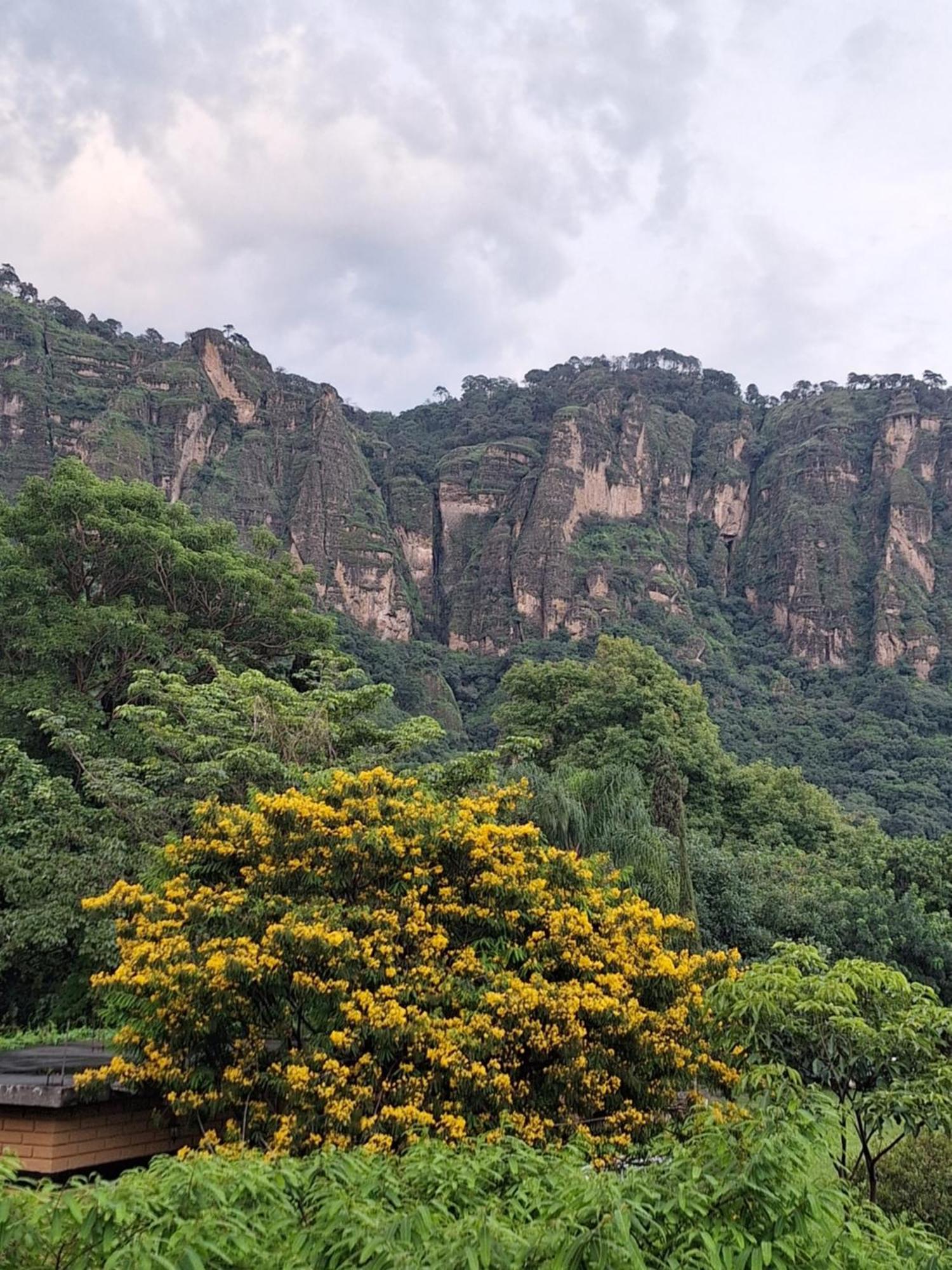 Posada Meztitla Tepoztlan Ngoại thất bức ảnh